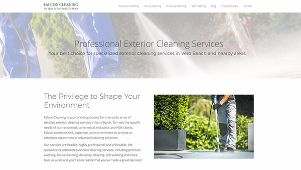 ediwriter website design example